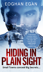 Hiding in Plain Sight e-book cover