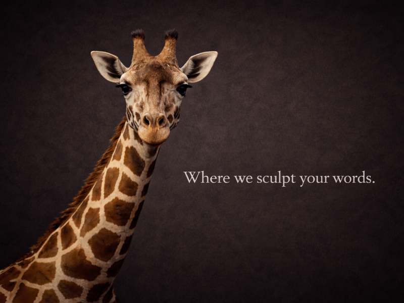 Gentle-gaze-of-a-giraffe-1200x900-1-800x600